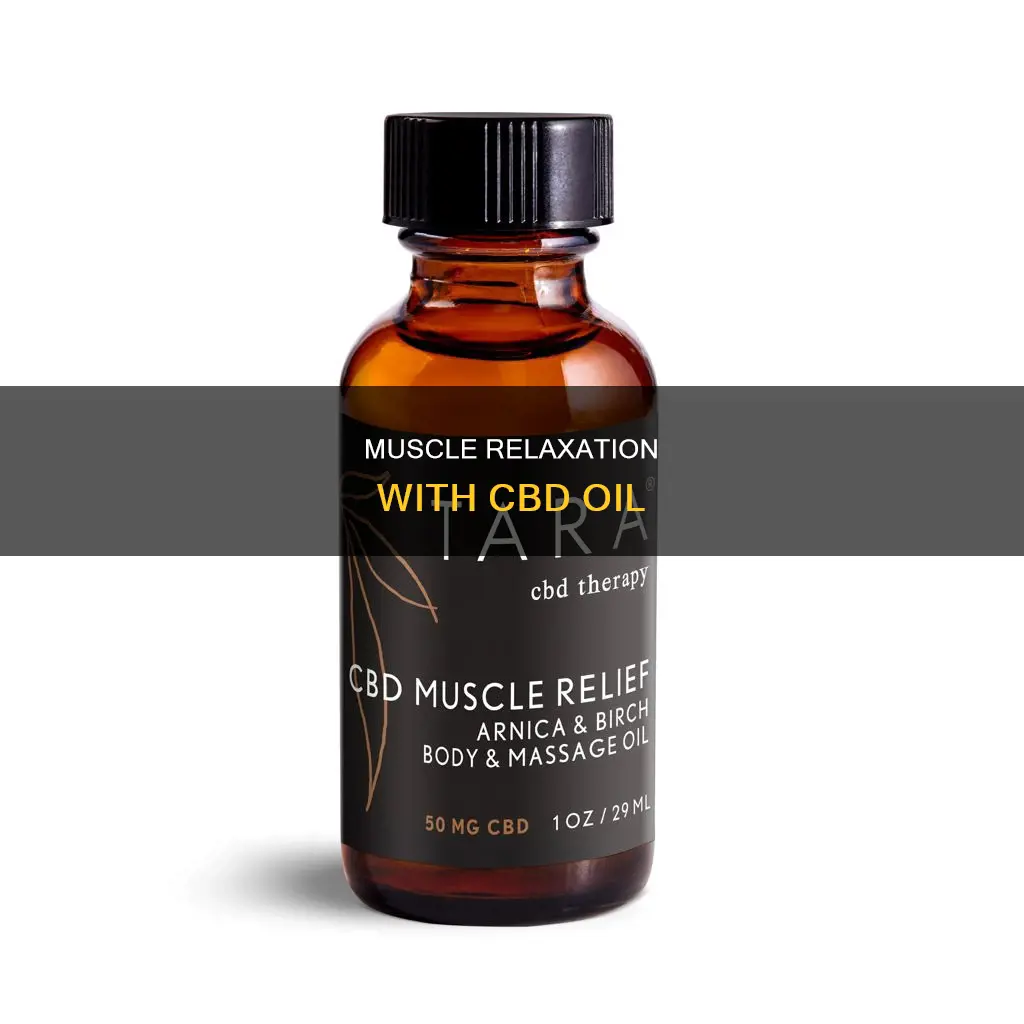what is cdb muscle oil