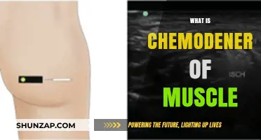 Chemodenervation: Paralyzing Muscles for Treatment