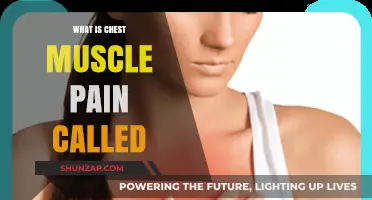 Understanding Chest Muscle Pain: Causes, Symptoms, and Treatment Options