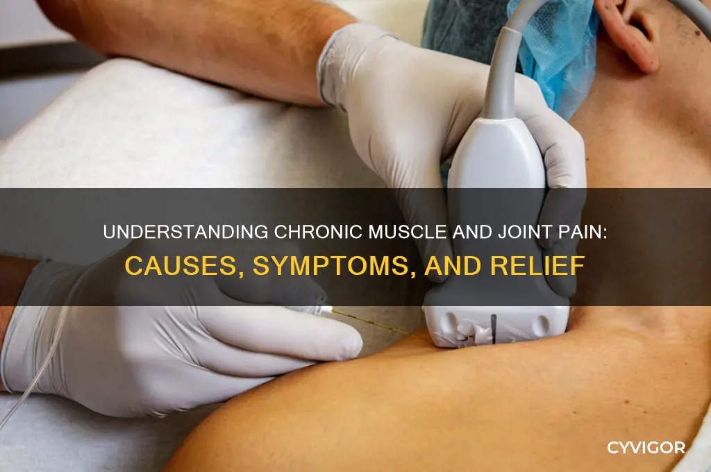 what is chronic muscle and joint pain