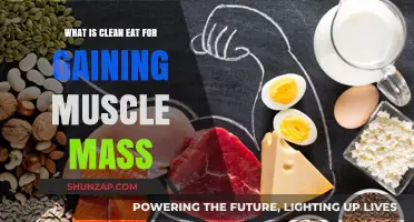 Clean Eating Strategies for Effective Muscle Mass Gain and Strength