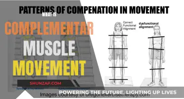Understanding Complementary Muscle Movement: Synergistic Strength Secrets