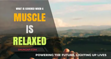 Understanding Muscle Relaxation: What Happens When Muscles Unwind and Release