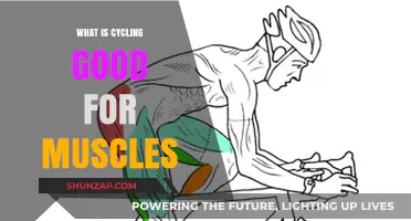 Pedal Power: How Cycling Strengthens Your Muscles