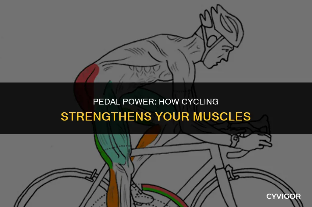 what is cycling good for muscles