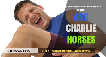 Understanding the Difference Between Muscle Cramps and Charlie Horses