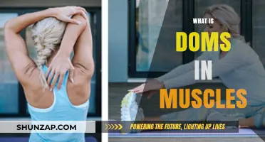 Understanding Delayed Onset Muscle Soreness