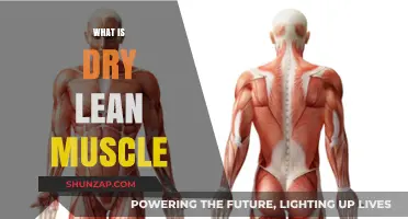 Building Lean Muscle: Understanding the Dry Lean Muscle Concept