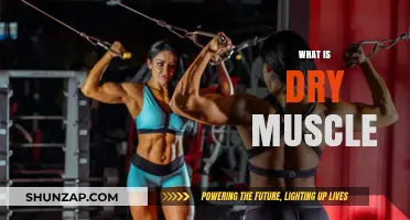 Muscle Mystery: What is Dry Muscle?