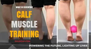 Unconventional Calf Training: Exploring Eccentric Exercises for Stronger Legs