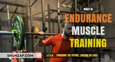 Build Muscle Endurance with Training Techniques