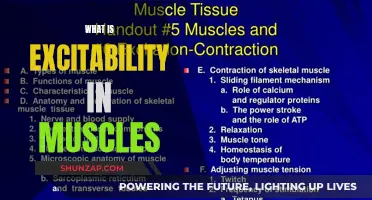 Muscle Excitability: Understanding the Basics of Muscle Response