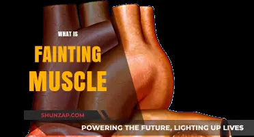 Understanding the Mysterious Fainting Muscle Phenomenon