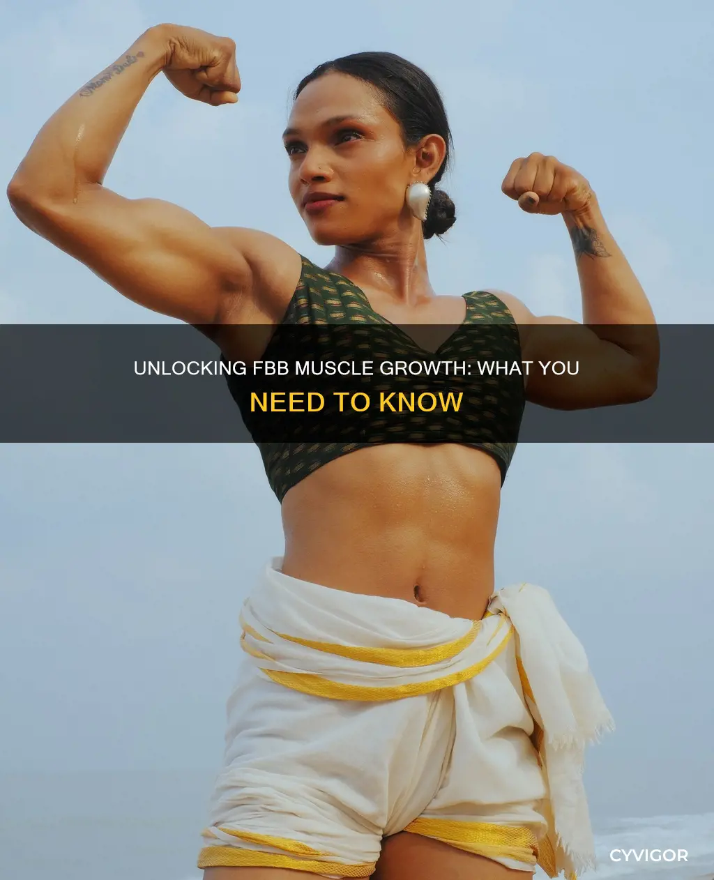 what is fbb muscle
