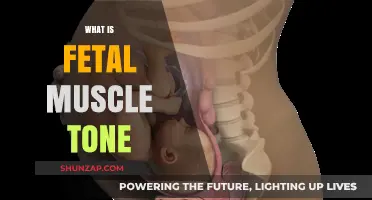 Understanding Fetal Muscle Tone: A Vital Health Indicator