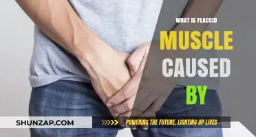 Understanding Flaccid Muscle Causes: Symptoms, Diagnosis, and Treatment Options