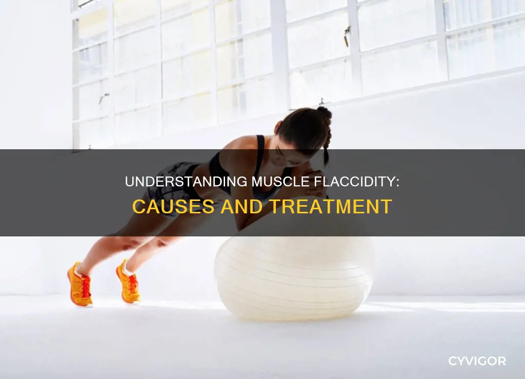 what is flaccidity in muscle