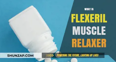 Understanding Flexeril: A Comprehensive Guide to This Muscle Relaxer