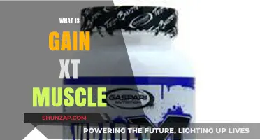 Unveiling Gain XT Muscle: Benefits, Usage, and Results Explained
