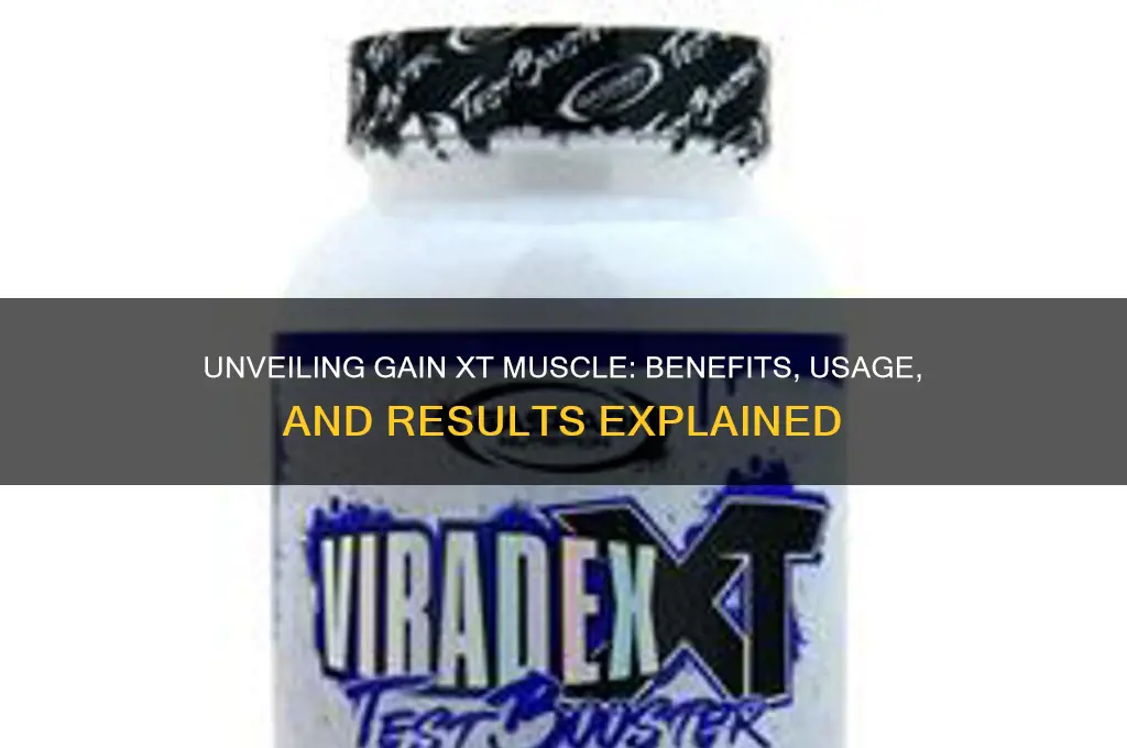 what is gain xt muscle