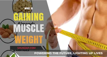 Understanding Muscle Weight Gain: Strategies for Healthy, Sustainable Growth