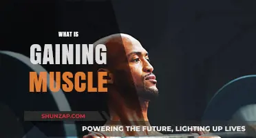 Understanding Muscle Gain: Essential Tips for Building Strength and Size