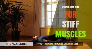 Effective Remedies to Ease Stiff Muscles: A Comprehensive Guide