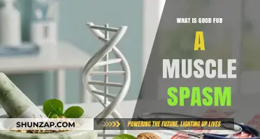 Natural Remedies to Ease Muscle Spasms: A Comprehensive Guide