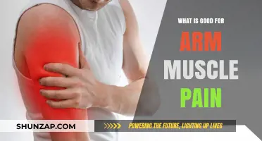 Effective Remedies and Tips to Relieve Arm Muscle Pain Fast