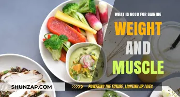 Effective Strategies for Healthy Weight Gain and Muscle Building
