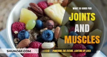 Nourish Your Body: Top Foods for Healthy Joints and Muscles