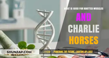 Natural Remedies to Ease Knotted Muscles and Charlie Horses