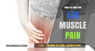 Relieving Leg Muscle Pain: Effective Remedies and Prevention Tips