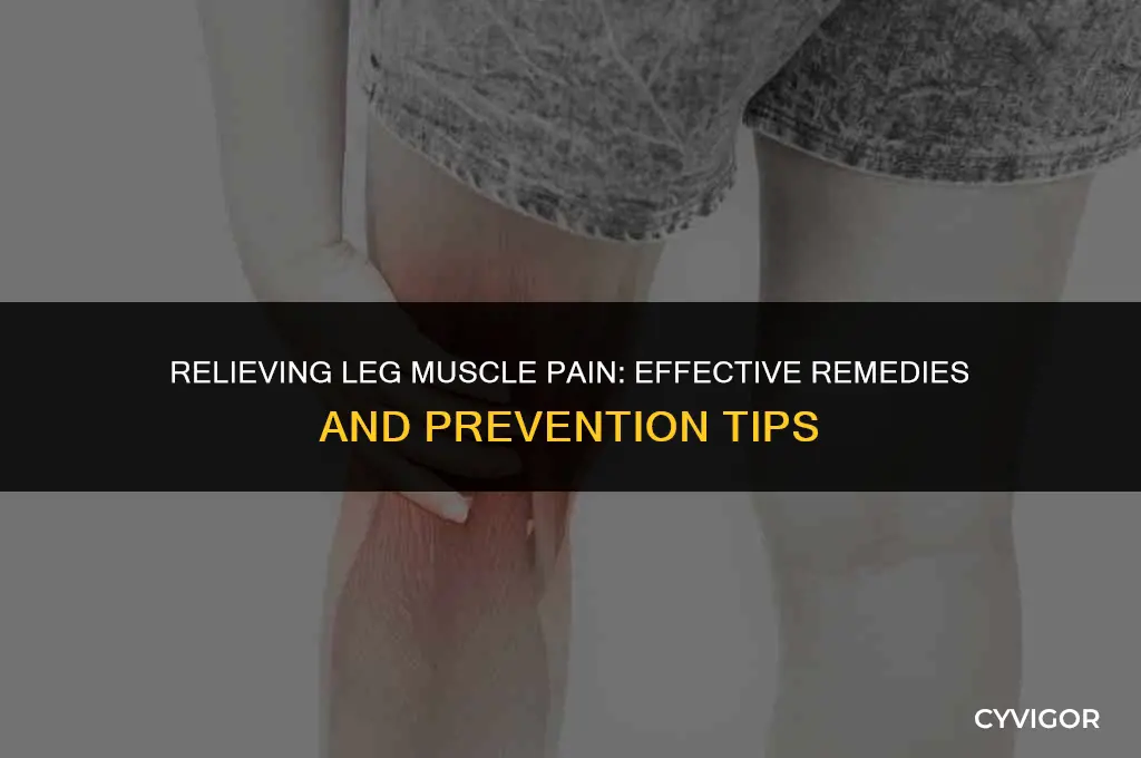 what is good for leg muscle pain