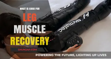 Boost Your Leg Muscle Recovery: Essential Tips and Strategies