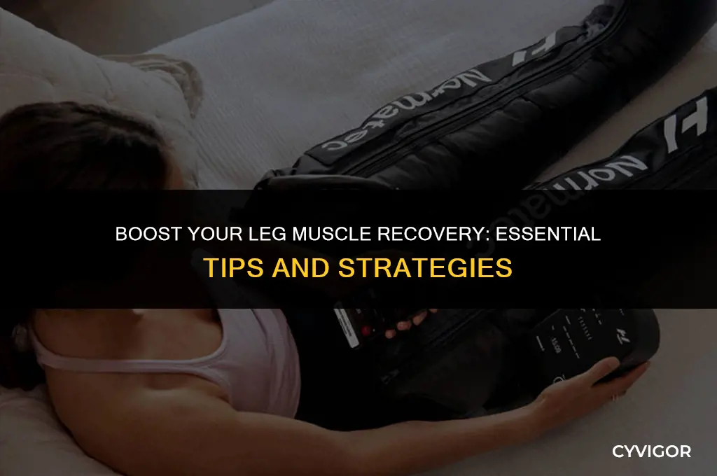 what is good for leg muscle recovery