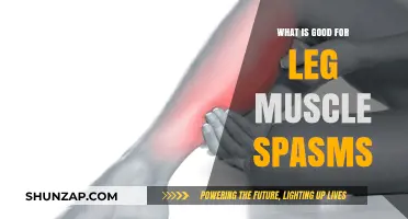 Natural Remedies to Relieve Leg Muscle Spasms: A Comprehensive Guide