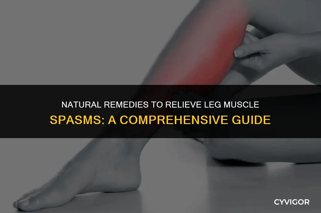 what is good for leg muscle spasms
