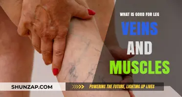 Strengthen Your Legs: Tips for Healthy Veins and Muscles