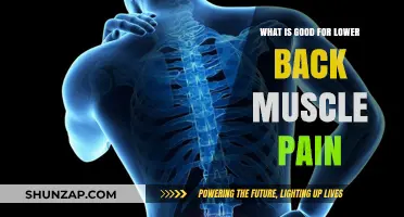 Relieving Lower Back Muscle Pain: Effective Remedies and Exercises