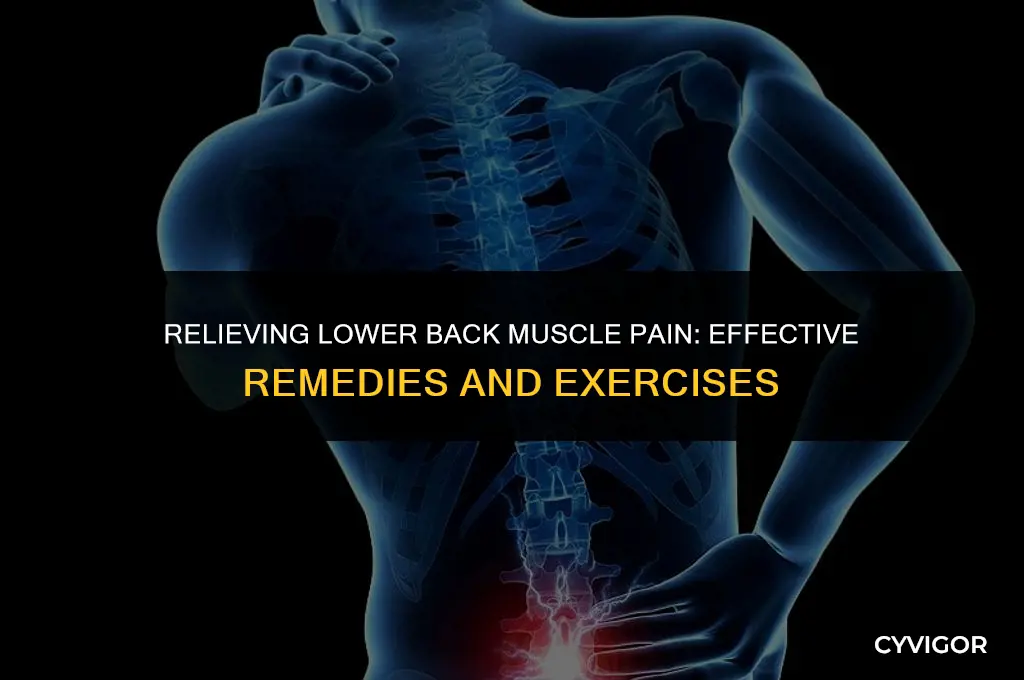 what is good for lower back muscle pain