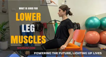 Strengthening Your Lower Leg Muscles: A Comprehensive Guide