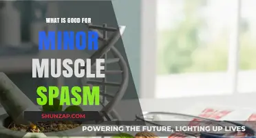 Natural Remedies for Minor Muscle Spasms: A Comprehensive Guide