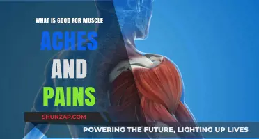 Effective Remedies for Muscle Aches and Pains: Relief and Recovery Tips