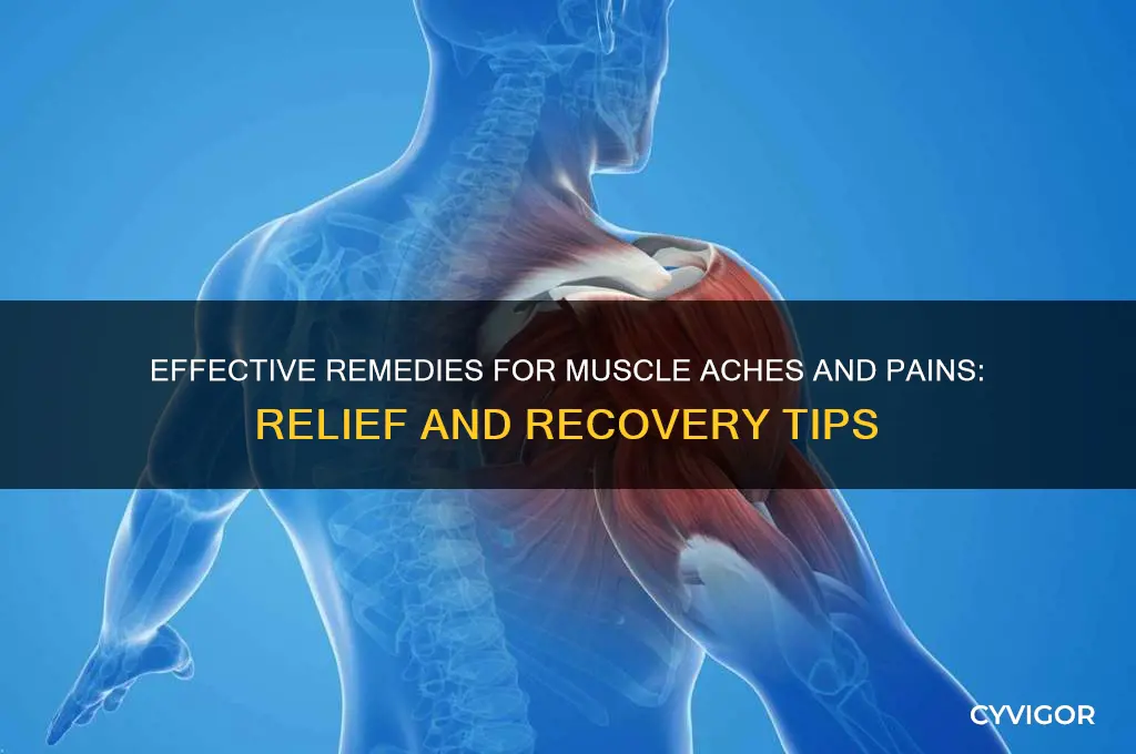 what is good for muscle aches and pains
