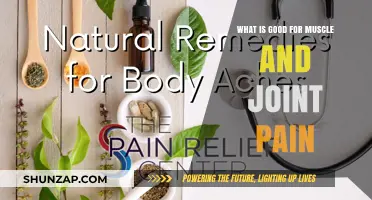 Natural Remedies for Muscle and Joint Pain Relief