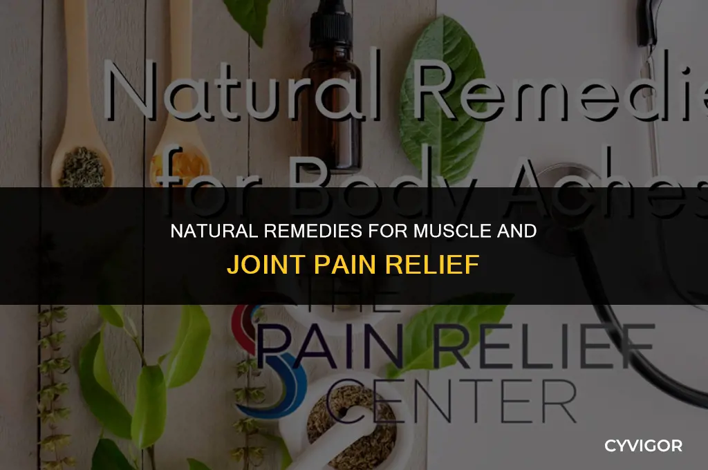 what is good for muscle and joint pain