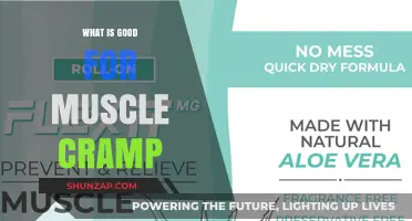 Natural Remedies to Ease Muscle Cramps: A Comprehensive Guide