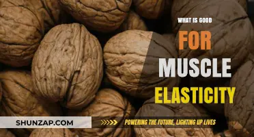 Unlocking Flexibility: Foods and Habits for Optimal Muscle Elasticity