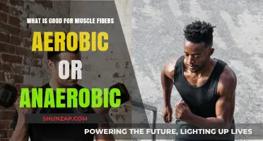 Aerobic vs. Anaerobic: Unraveling the Best for Muscle Fibers
